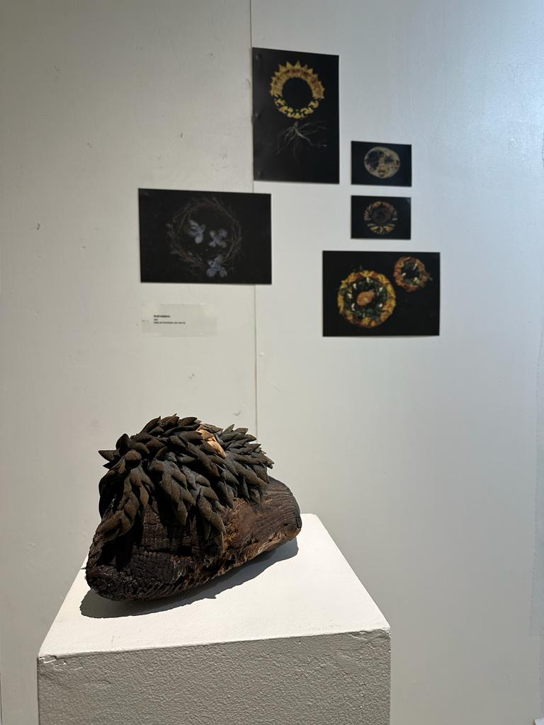 Image of Black Soil exhibition by Polina Choni on Art House in Turku
