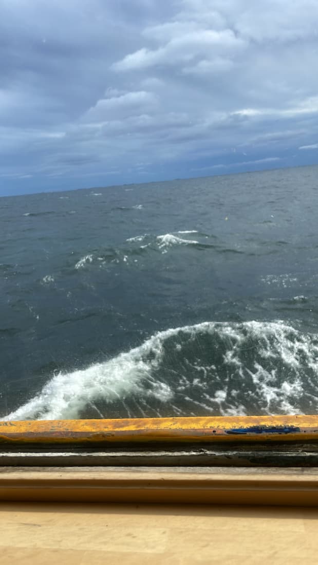 Polina's hands holding a bread mask with leaves on it.