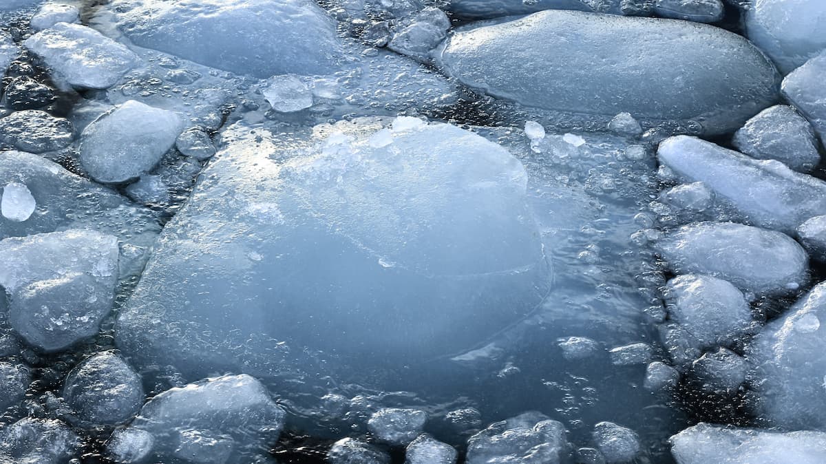Close-up view of large and small ice chunks floating together, some partially submerged and covered with a thin layer of frost.